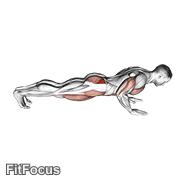 Spider Crawl Push Up GIF