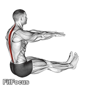 Spine Stretch GIF