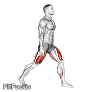Split Squats GIF