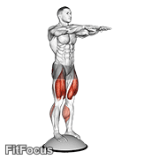 Squat On Bosu Ball GIF