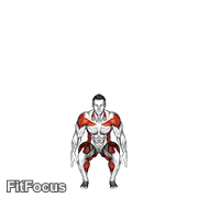 Squat To Overhead Reach With Twist exercise GIF demonstration
