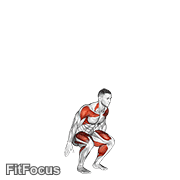 Squat To Overhead Reach GIF