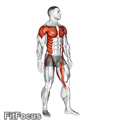 Standing Archer GIF — animated back exercise demonstration