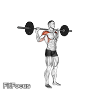 Standing Behind Neck Press GIF