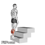 Standing Calf Raise (on A Staircase) GIF