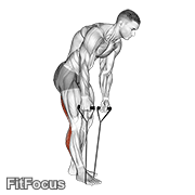 Standing Hamstring And Calf Stretch With Strap GIF