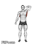 Standing Lateral Stretch GIF