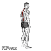 Standing Pelvic Tilt GIF