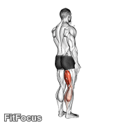 Standing Single Leg Curl GIF