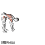 Standing Wheel Rollerout GIF