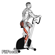 Stationary Bike Walk GIF