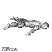 Straddle Maltese GIF