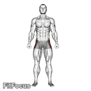 Straight Leg Outer Hip Abductor GIF
