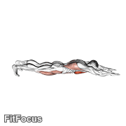 Superman Push-up GIF