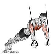 Suspended Push-up exercise GIF demonstration