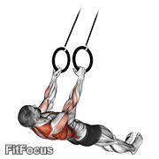 Suspended Row GIF — animated back exercise demonstration