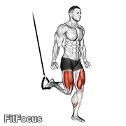 Suspended Split Squat animated form demonstration