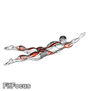Swimmer Kicks V. 2 (male) GIF