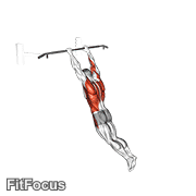 Swing 360