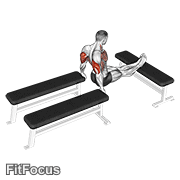 Three Bench Dip GIF — animated arms exercise demonstration