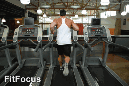 Treadmill Running