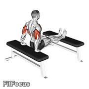 Triceps Dip (bench Leg) GIF — animated arms exercise demonstration