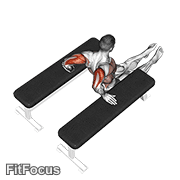 Triceps Dip (between Benches) animated form demonstration