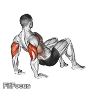 Triceps Dips Floor GIF