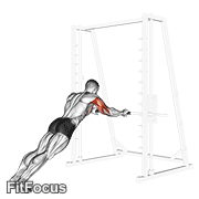 Triceps Press GIF
