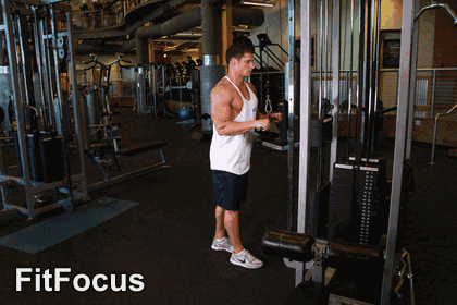Triceps Pushdown animated form demonstration