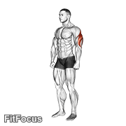 Triceps Stretch GIF — animated arms exercise demonstration