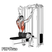 Twin Handle Parallel Grip Lat Pulldown GIF