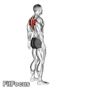 Upper Back Stretch GIF