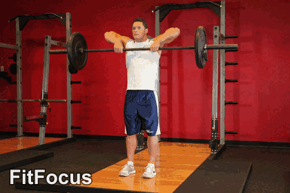 Upright Barbell Row exercise GIF demonstration