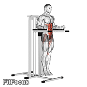 Vertical Leg Raise (on Parallel Bars) GIF — animated core exercise demonstration