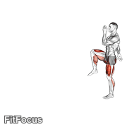 Walking High Knees Lunge GIF