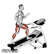 Walking On Incline Treadmill animated form demonstration