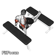 Weighted Bench Dip GIF — animated arms exercise demonstration