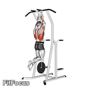 Weighted Close Grip Chin-up On Dip Cage GIF
