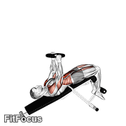 Weighted Decline Sit-up GIF