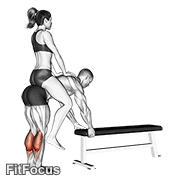 Weighted Donkey Calf Raise GIF