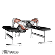 Weighted Drop Push Up GIF — animated chest exercise demonstration