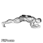 Weighted Front Plank