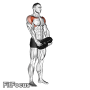 Weighted Front Raise GIF