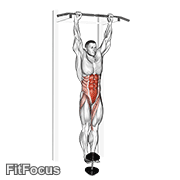 Weighted Hanging Leg-hip Raise GIF