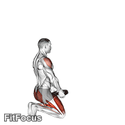 Weighted Kneeling Step With Swing GIF