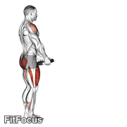 Weighted Lunge With Swing GIF