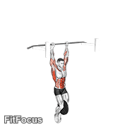 Weighted Muscle Up (on Bar) GIF