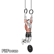 Weighted Muscle Up GIF