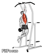 Weighted One Hand Pull Up GIF